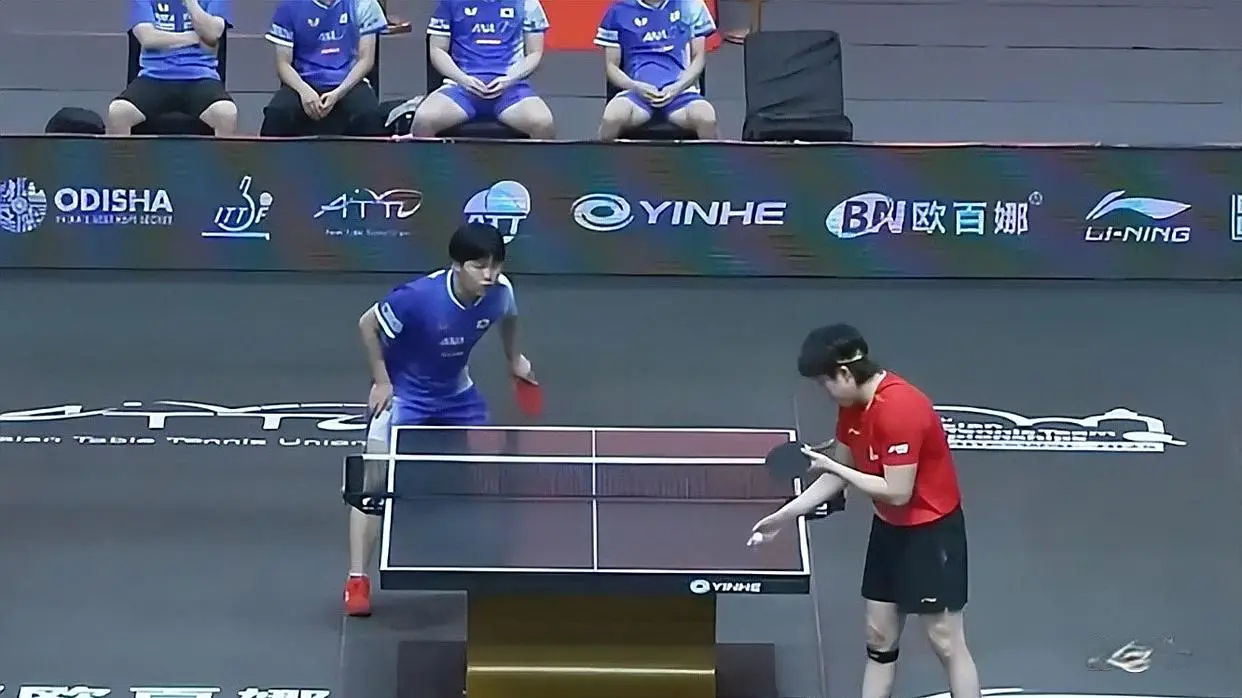 yid, 而王楚钦的, 大获全胜 yid, 而王楚钦的, 大获全胜